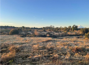 PARCELA COLONIA TRES PUENTES, SECTOR ADORATRICES PERPETUAS, PUERTO VARAS