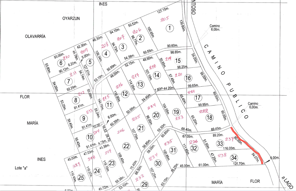 PARCELAS EN CORRENTOSO, PARQUE NACIONAL ALERCE ANDINO, PUERTO MONTT - Imagen 5